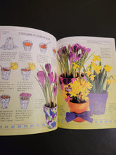 Load image into Gallery viewer, What Shall I Grow? (Usborne Activities)
