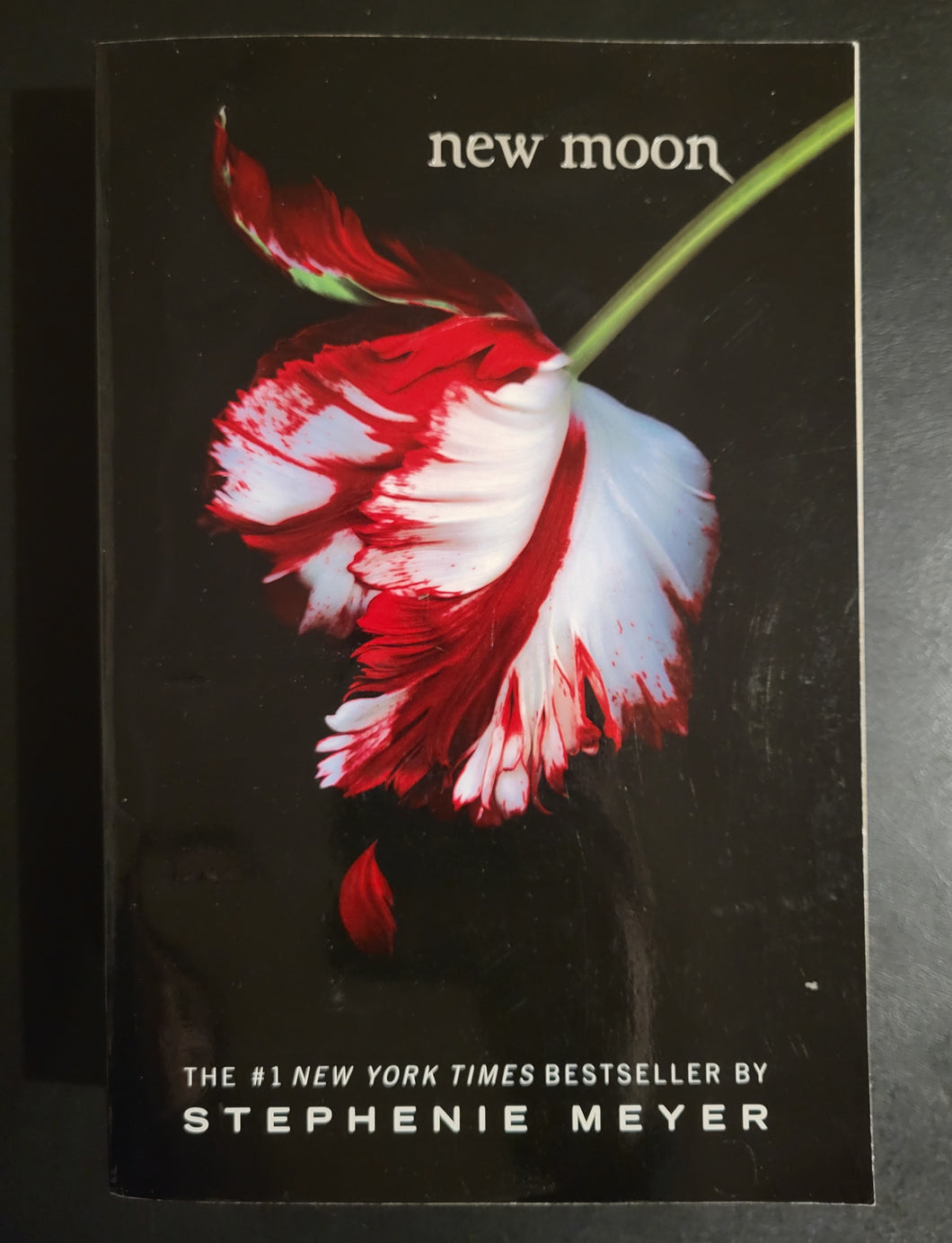 New Moon by Stephenie Meyer (Book #2)