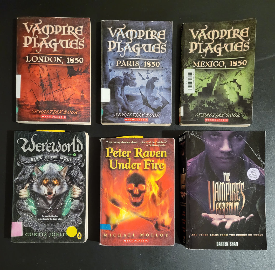 Fantasy Chapter Books (Lot C3)