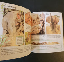 Load image into Gallery viewer, Complete First Book of Nature (Usborne)
