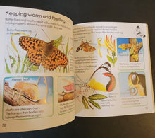 Load image into Gallery viewer, Complete First Book of Nature (Usborne)
