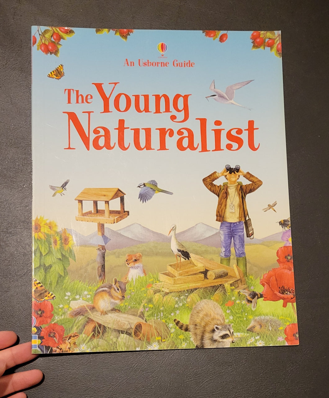 The Young Naturalist (Usborne)