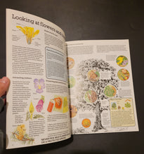 Load image into Gallery viewer, The Young Naturalist (Usborne)
