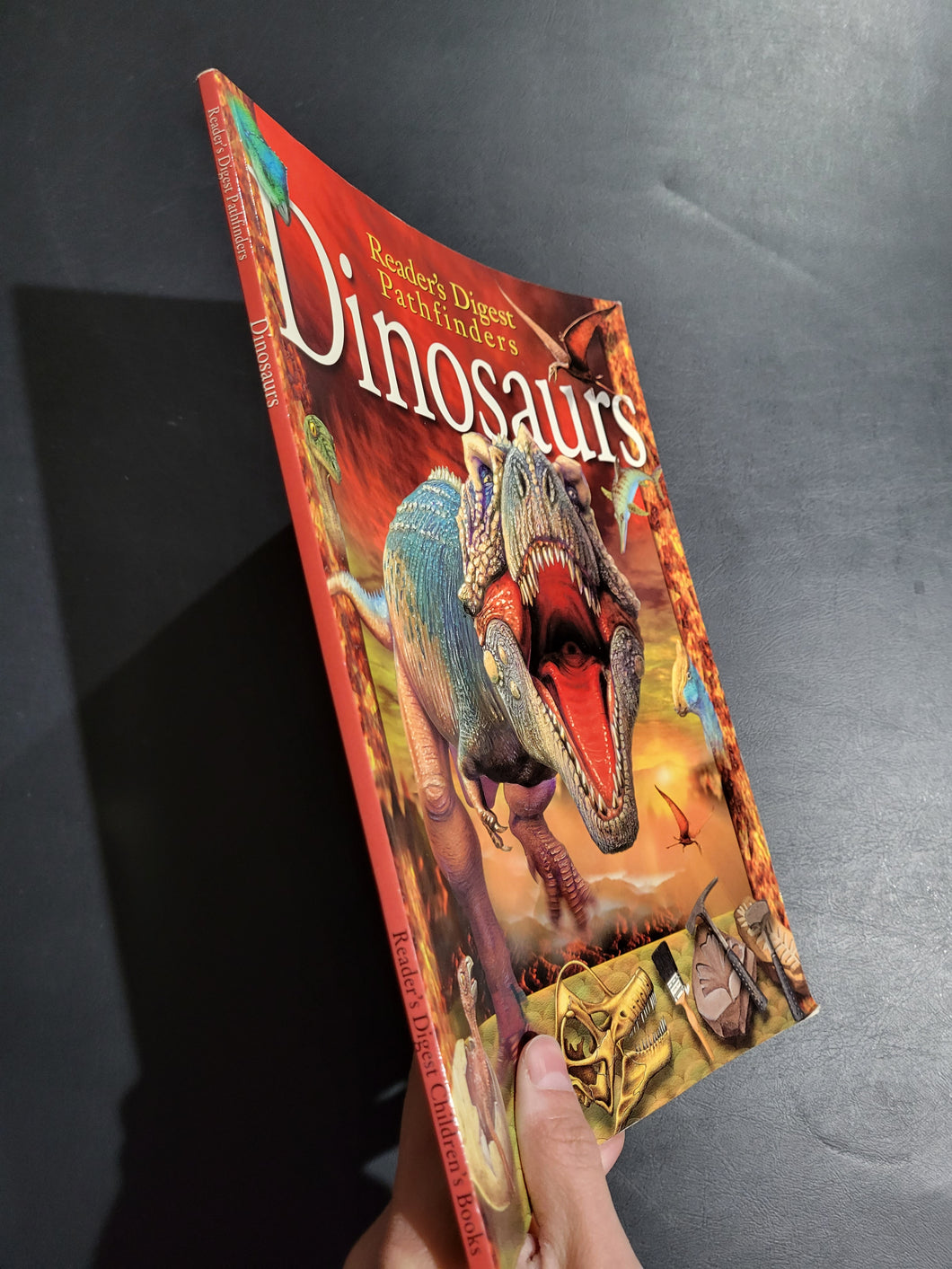 Readers Digest Dinosaurs