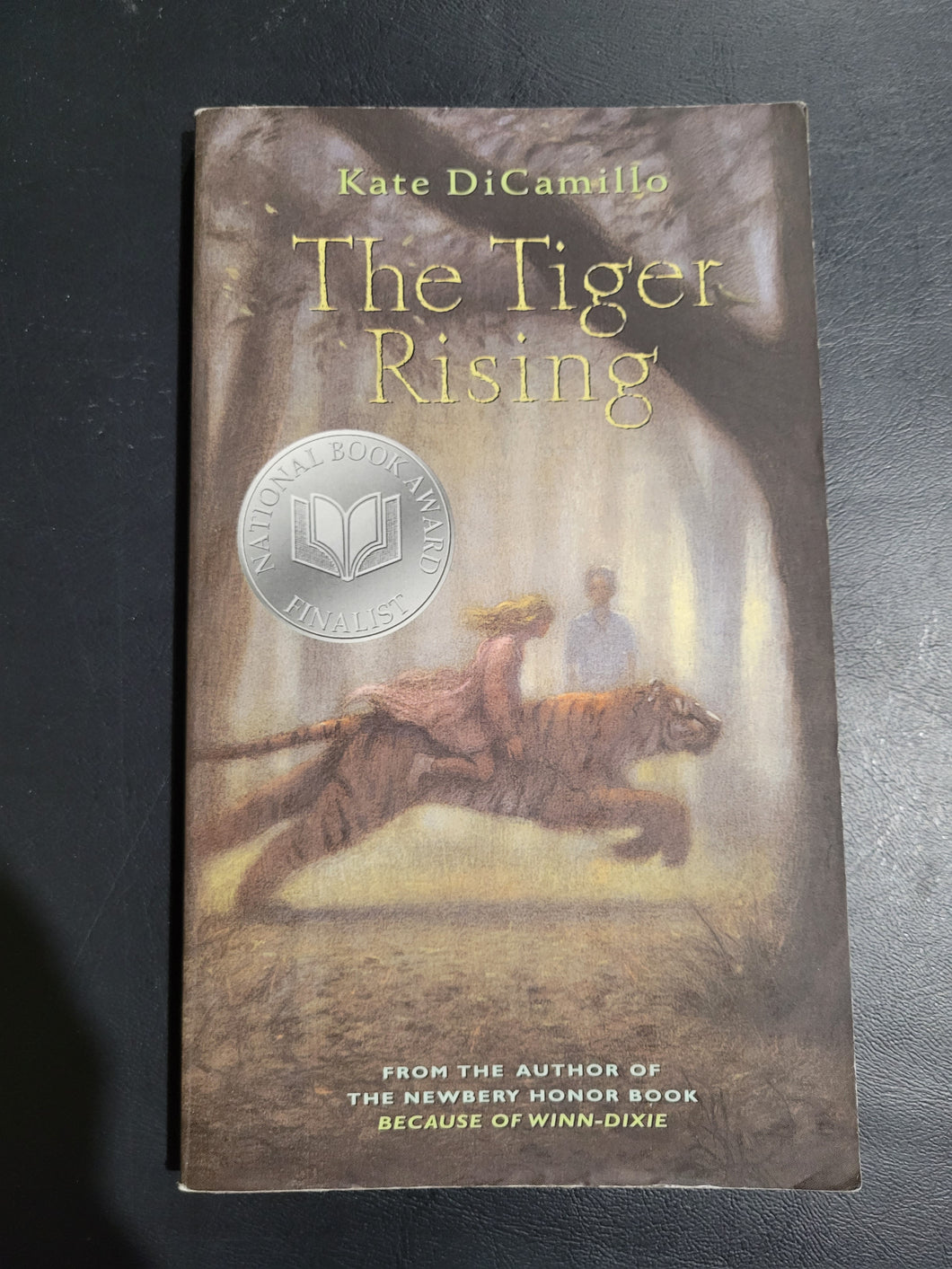 The Tiger Rising by Kate DiCamillo