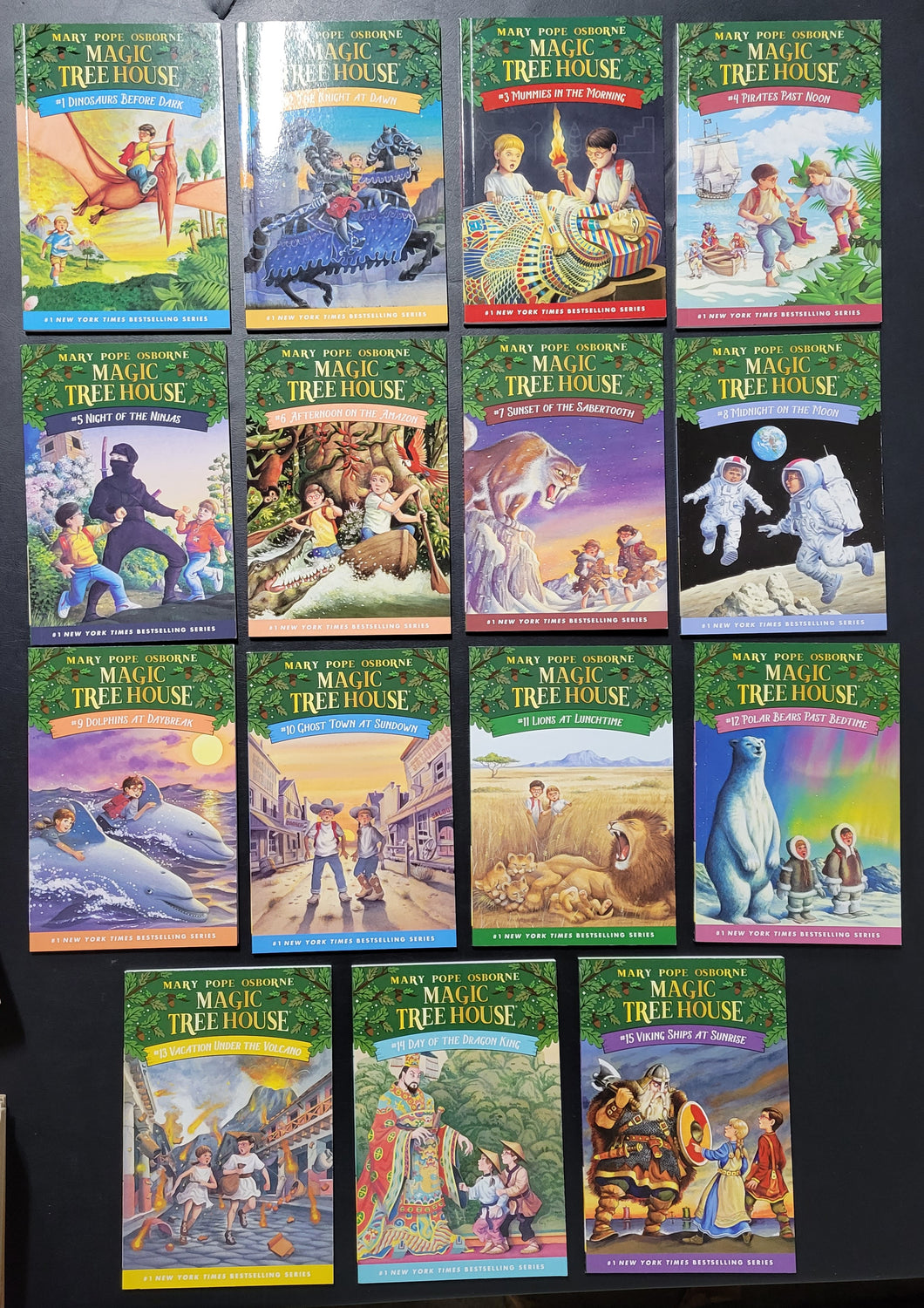 Night of The Ninjas (Magic Tree House)