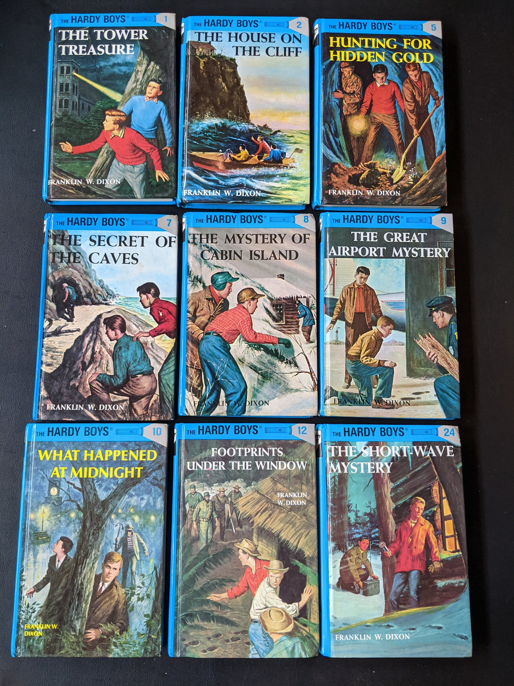 Hardy Boys Collection (Lot H1)