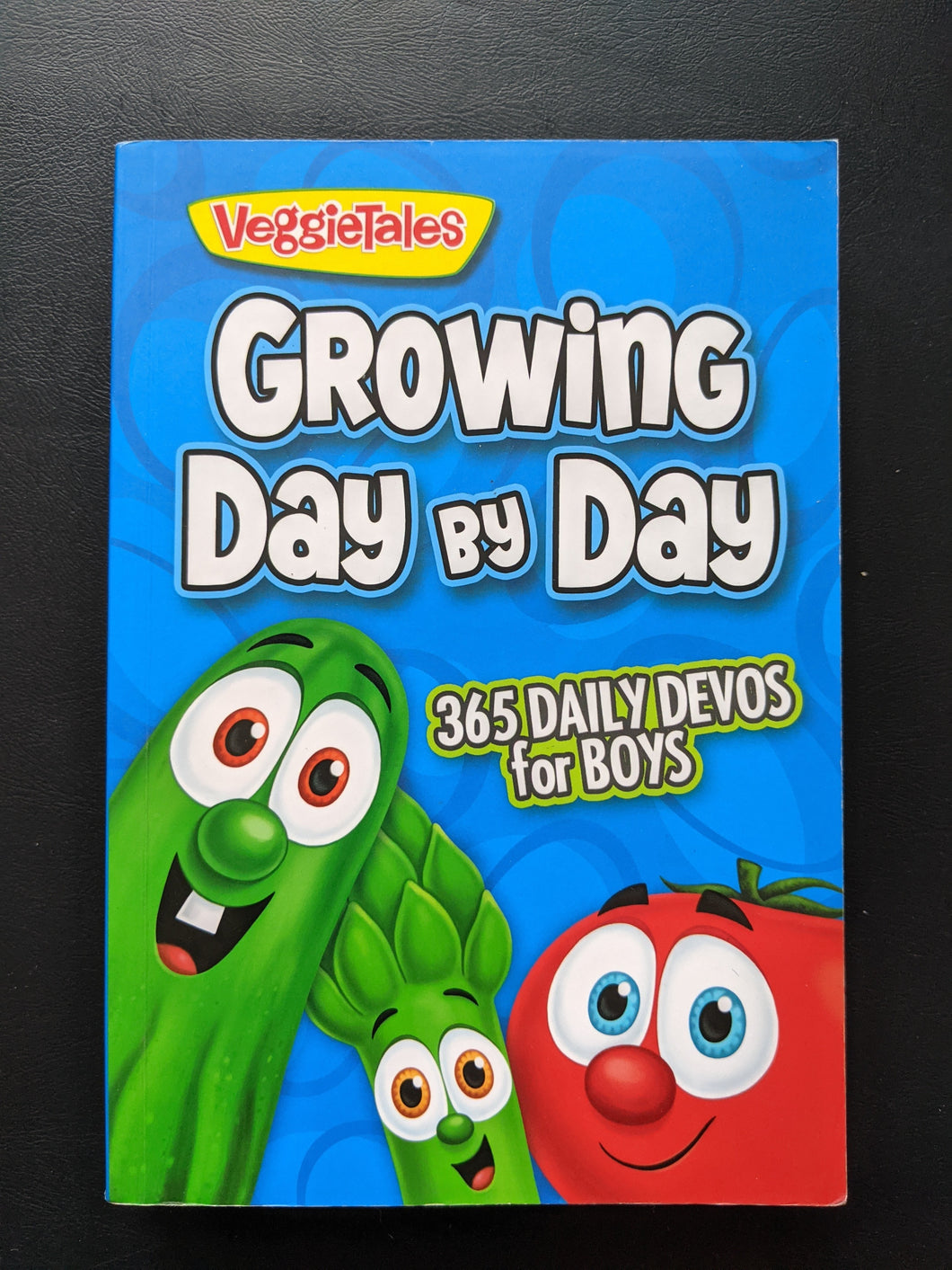 Growing Day by Day for Boys by VeggieTales