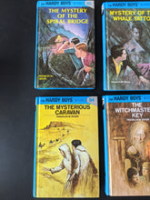 Load image into Gallery viewer, Hardy Boys (You Choose)
