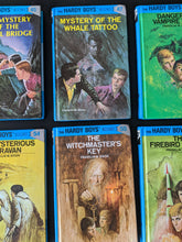 Load image into Gallery viewer, Hardy Boys (You Choose)
